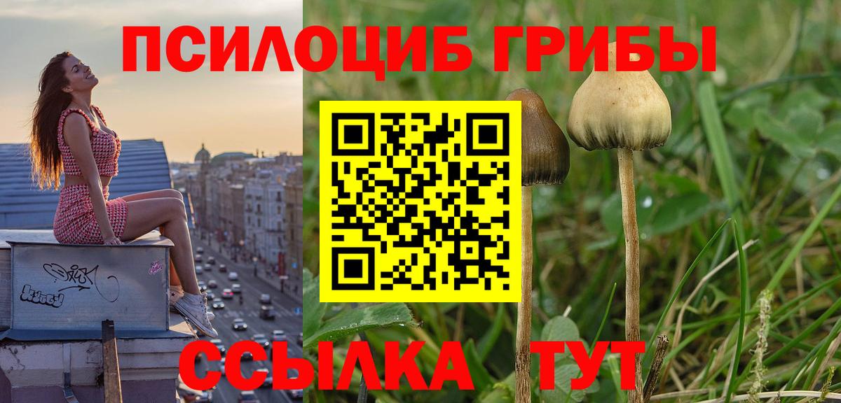 Псилоцибиновые грибы MAGIC MUSHROOMS Сатка